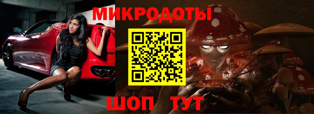 Псилоцибиновые грибы Psilocybe  Вход с VPN  Сланцы 